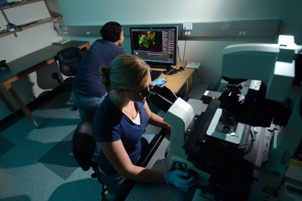 Researchers working on microscopes
