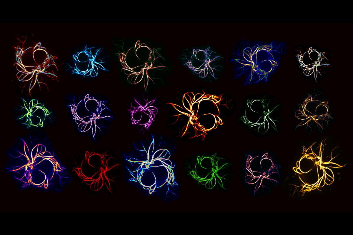 Rainbow colored cellular filaments