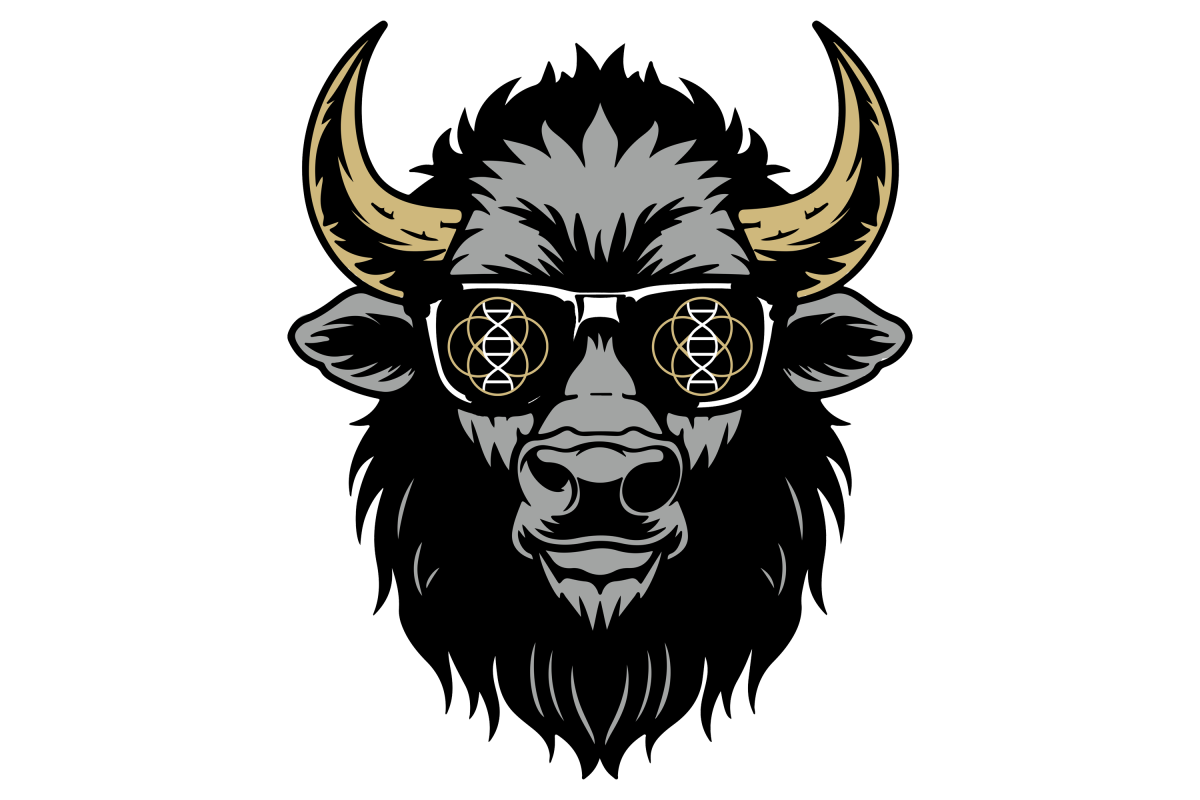 Bison wearing sunglasses