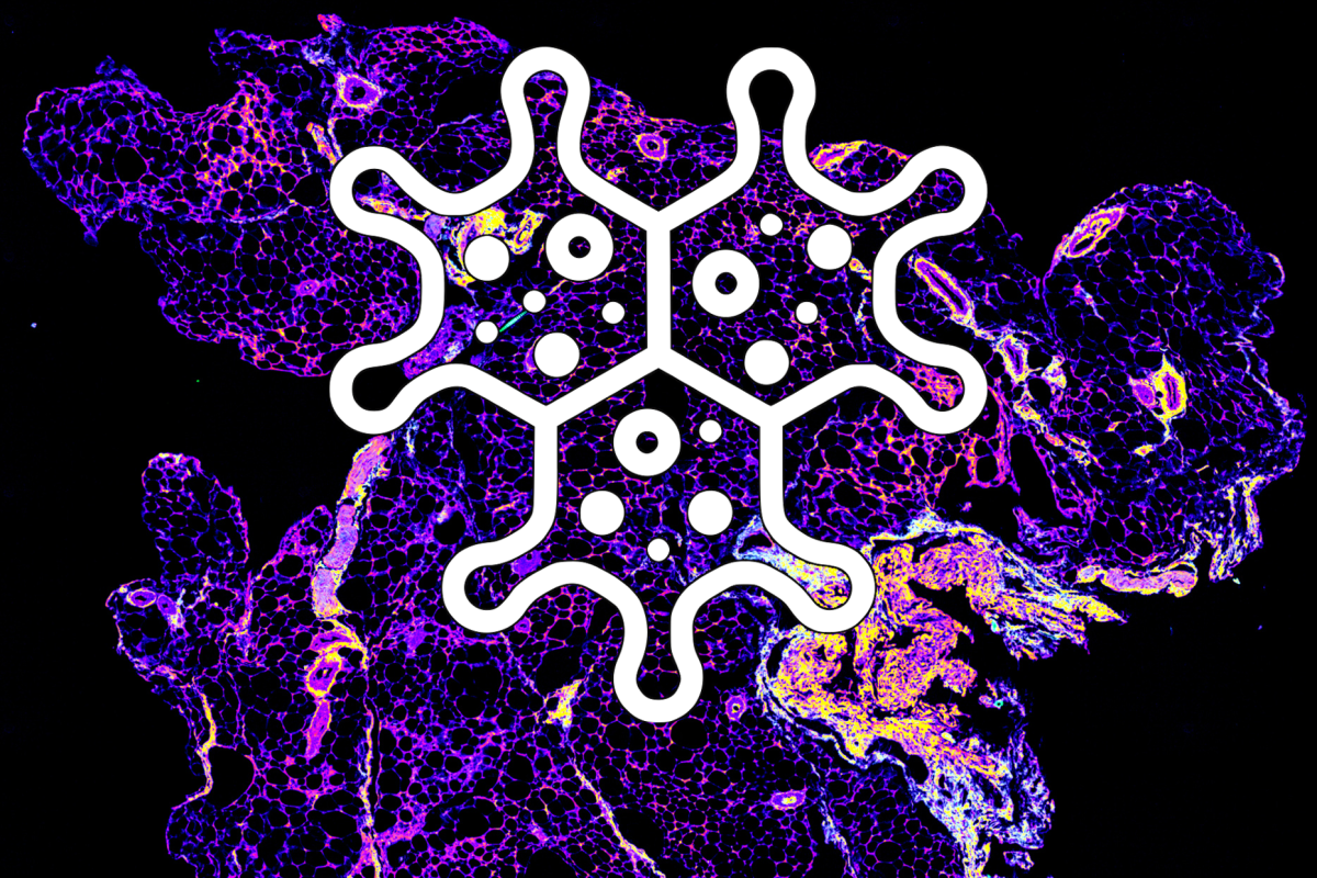 Spleen micrograph with microbe icon overlayed