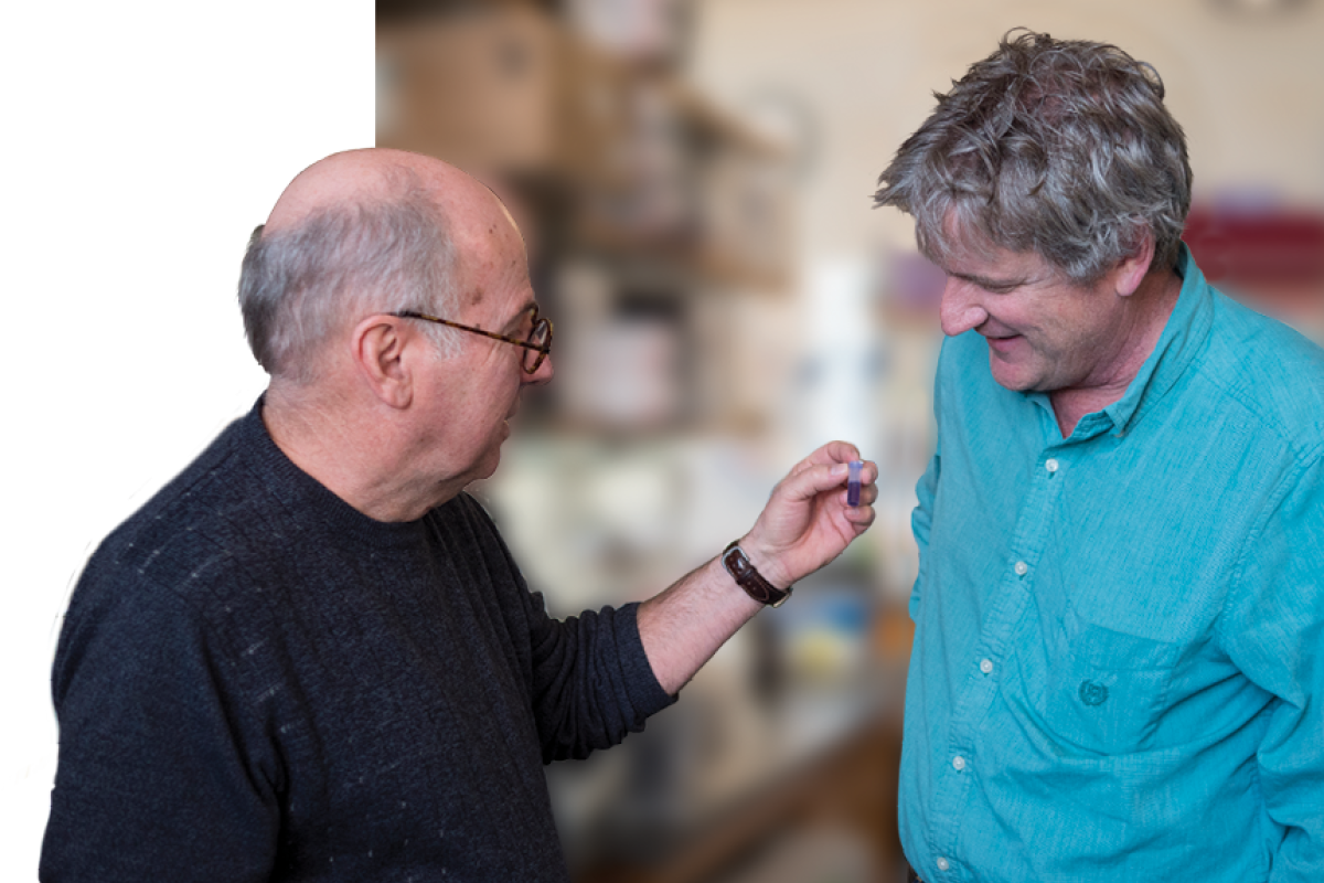 Bob and Ted Talking