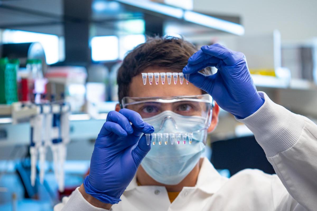 Pandemic Research Fund Image