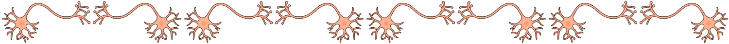 Neuron line art