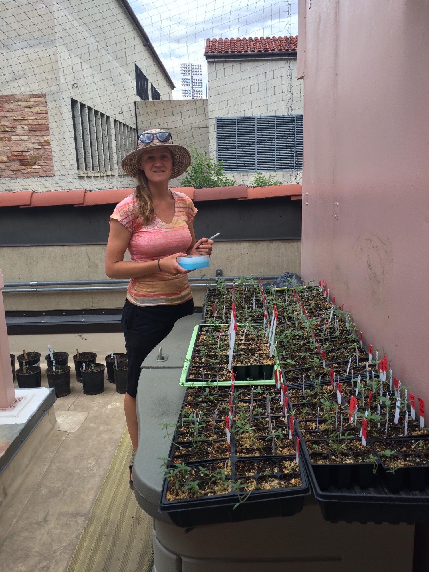 April Goebl is a graduate student in the IQ Biology PhD certificate program at the BioFrontiers Institute.