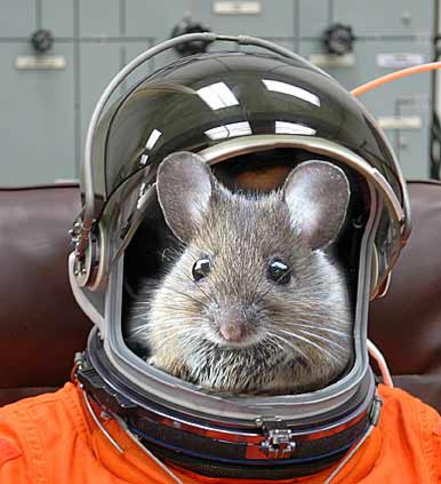 Astronaut