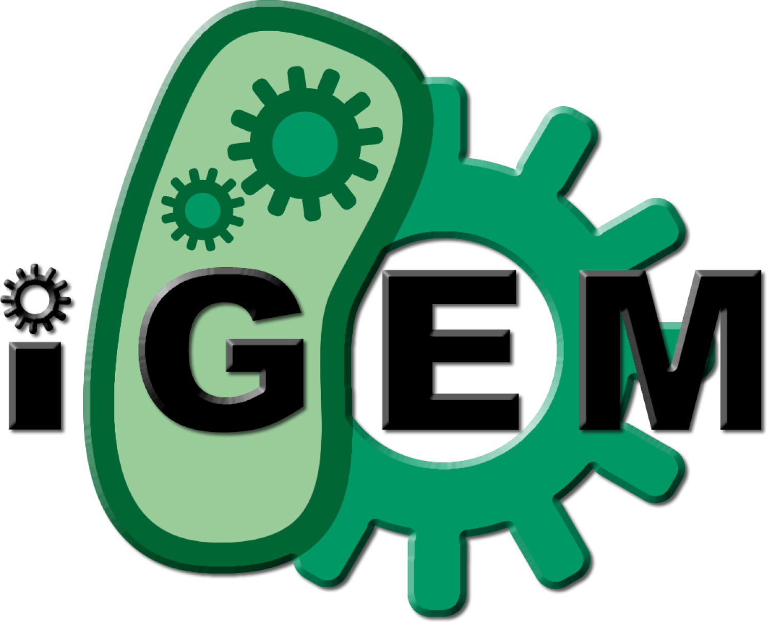 igem