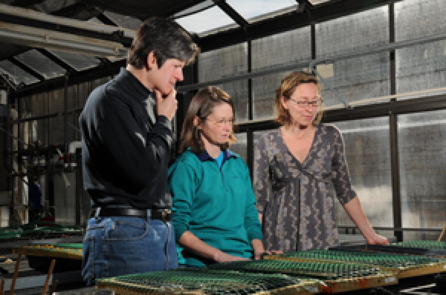 Computer Science Professor Liz Bradley (left), meets with Rhonda Hoenigman (center) and their collaborator, Assistant Professor in Ecology & Evolutionary Biology Nichole Barger, to discuss an algorithm that determines where plants will grow efficiently.