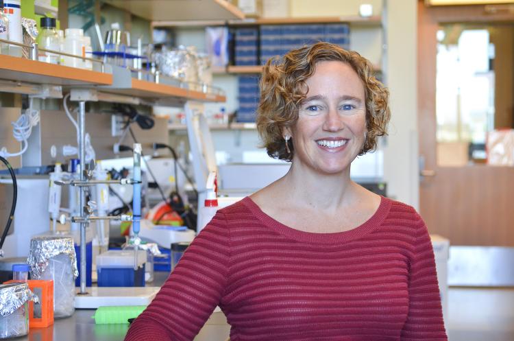 BioFrontiers' Amy Palmer studies the effects that zinc has on a wide variety of cellular processes.