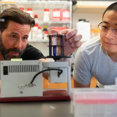 Two scientists looking at a sample