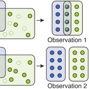 Stochastic sampling leads to variation in observed overlap.