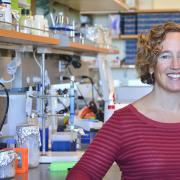 BioFrontiers' Amy Palmer studies the effects that zinc has on a wide variety of cellular processes.