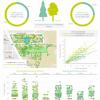 Green and blue infographic comparing coniferous and deciduous trees with tree graphics and scatter plots