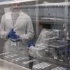Two Lab Members Discuss Work