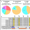 CD4 is polymorphic in chimpanzees.