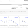 Experimental timeline for ex vivo macrophage stimulation. Abbreviations: FFA, free fatty acid; LPS, lipopolysaccharide