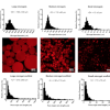 Generation of varied porous scaffolds using clickable microgel building blocks
