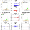 Primary transcriptional effects of TNF and glucocorticoids determined by GRO-seq.