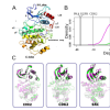 Activation promotes conformational changes in helix-C and the Nterminal lobe.