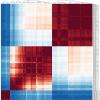 Heatmap showing unsupervised clustering of a Pearson correlation matrix (120 brain, placenta, and visceral yolk sac samples) from expression data (TPM), confirming the expected developmental relationship.