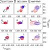 Conformation selection by high-affinity ERK inhibitors.