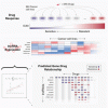 Baseline lncRNA expression predicts drug sensitivity in cancer cell lines
