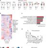 Schematized E11.5 tissues used for RNA-seq.