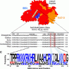 The EZH2 component of PRC2 is methylated.