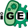 igem