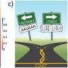The differences between stable mRNAs and other unstable nascent transcripts.