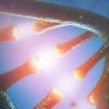 Illustration: National Institutes of Health