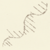 RNA