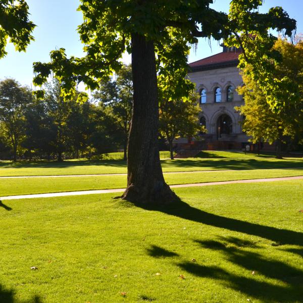 CU Boulder campus in summer