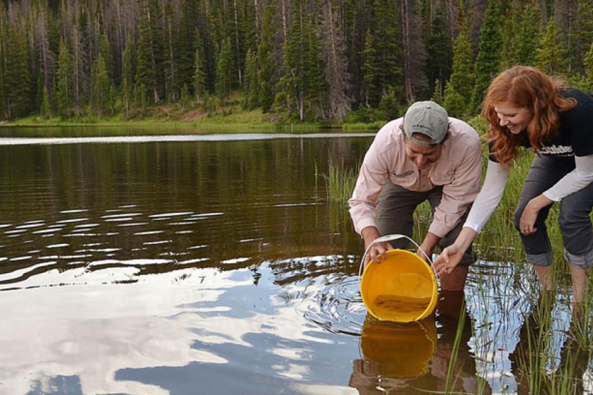 Two girls with a yellow bucket in a stream doing biology research