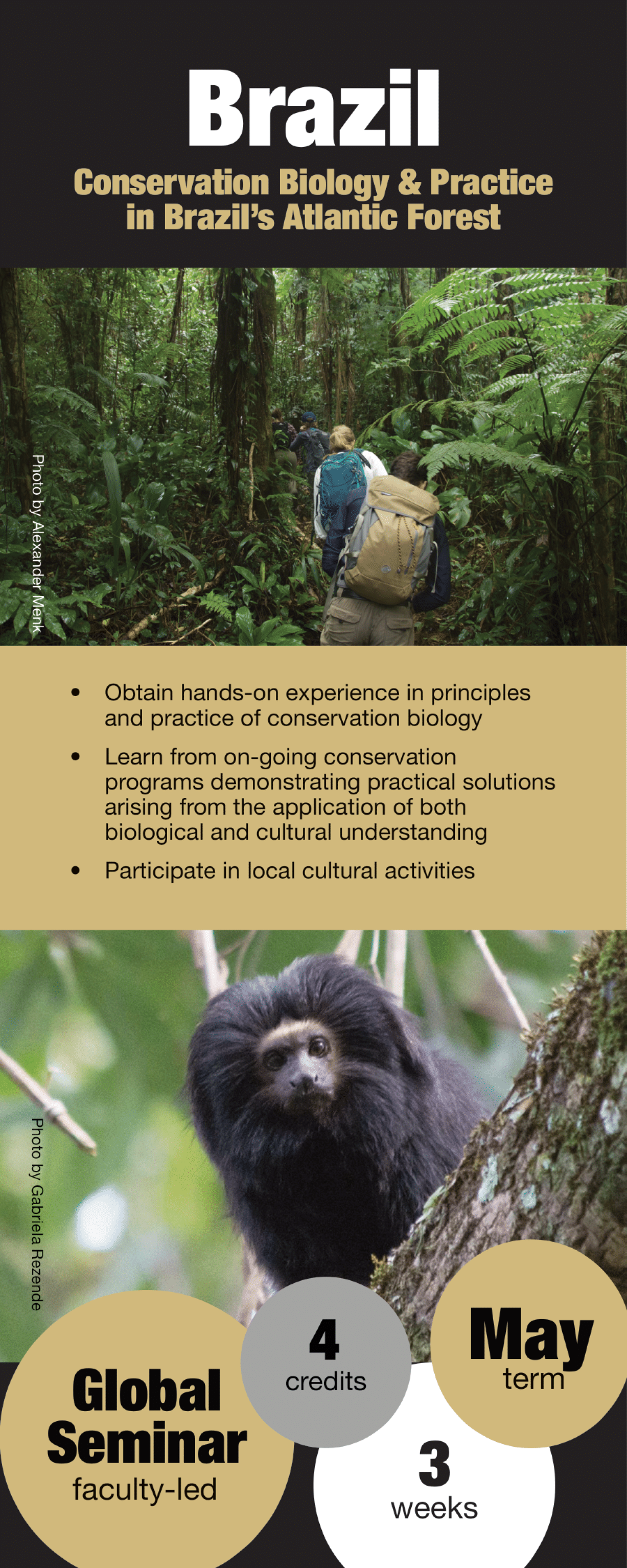 Maymester in Brazil Flyer 1
