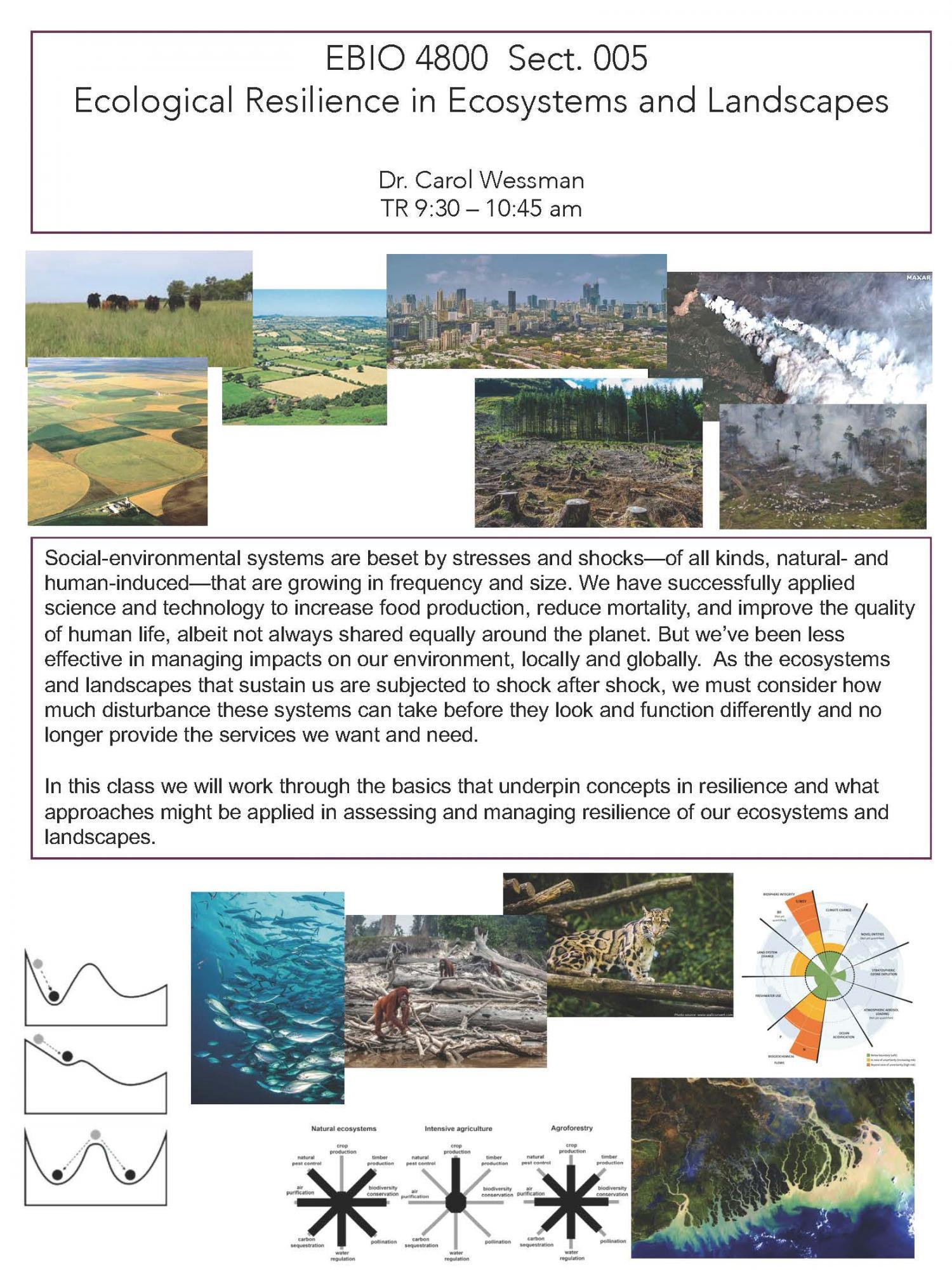 EBIO 4800 course flier