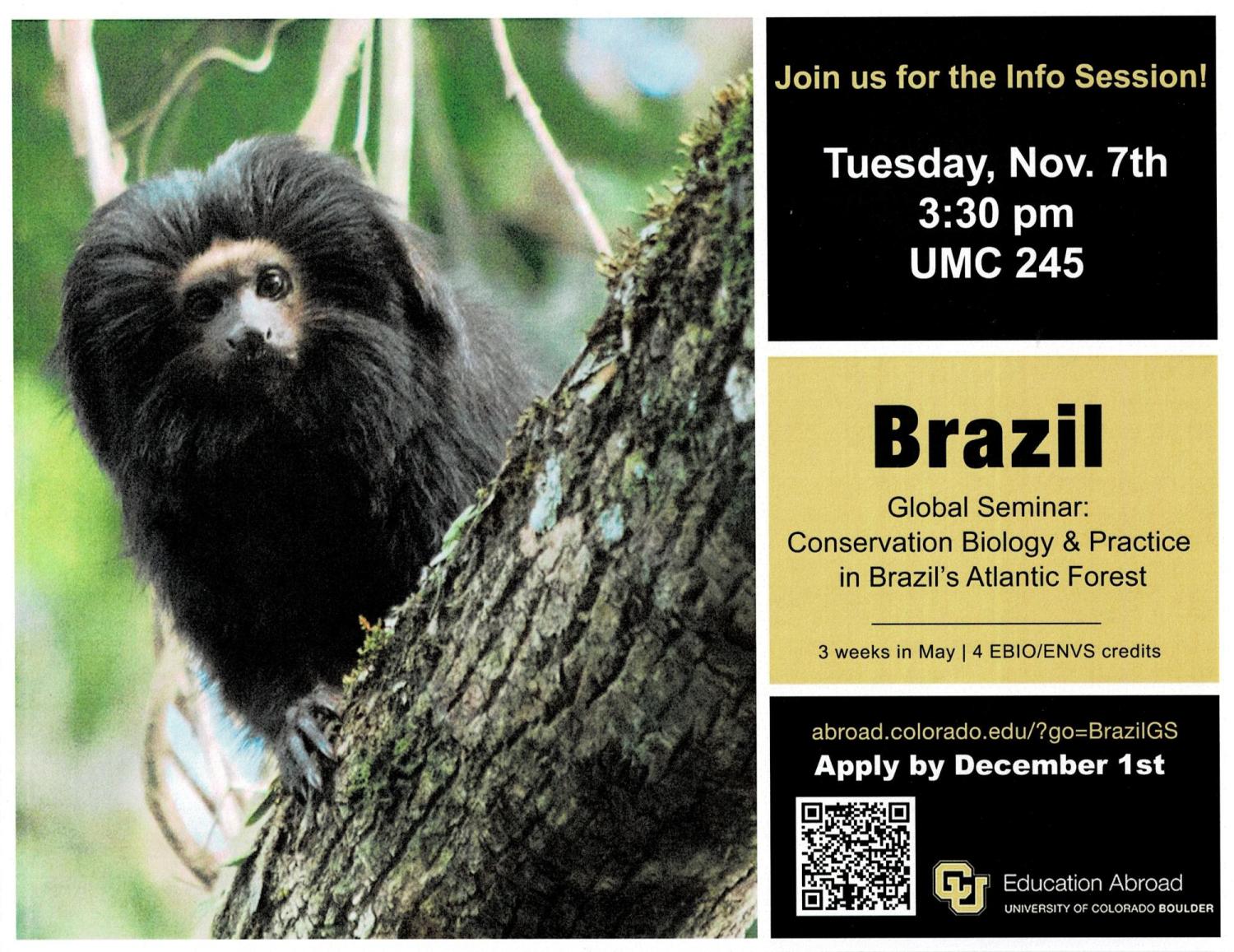 Brazil Global Seminar Flyer