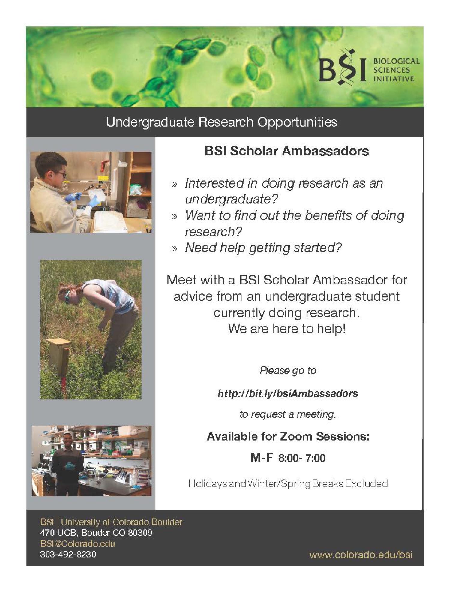 BSI Scholar Ambassador Flier