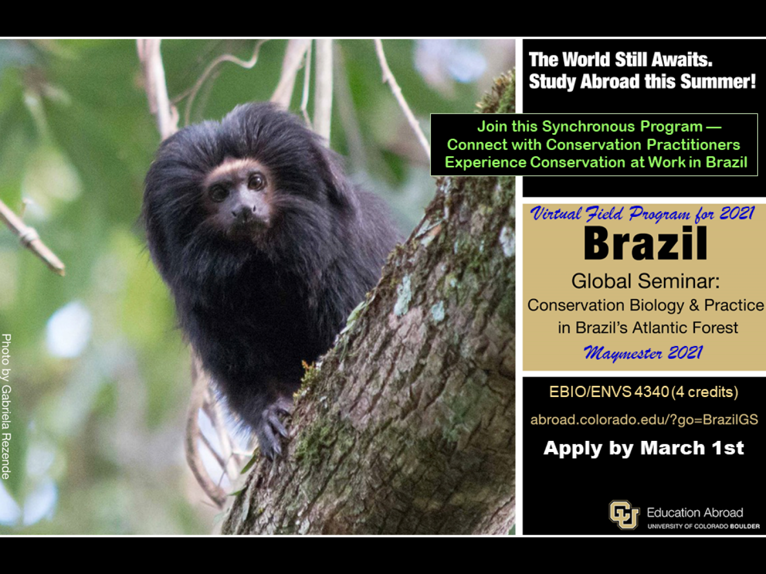 Brazil EBIO virtual global seminar