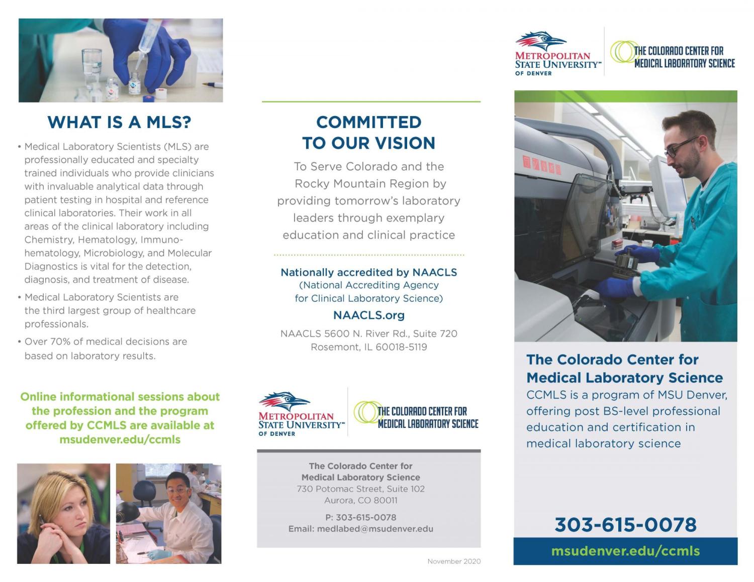 medical lab scientist program