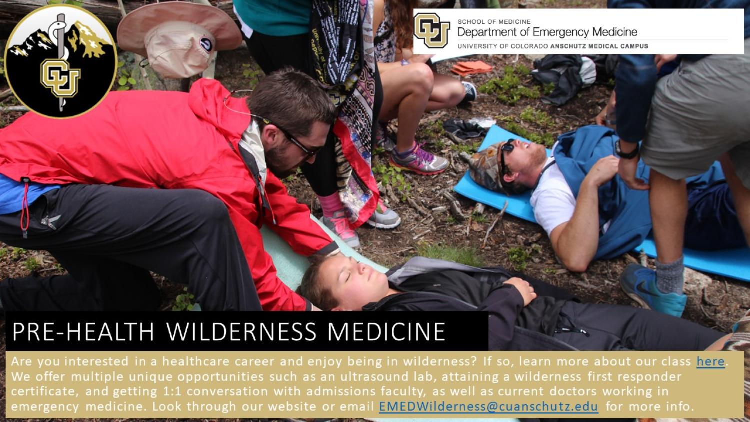 wilderness medicine