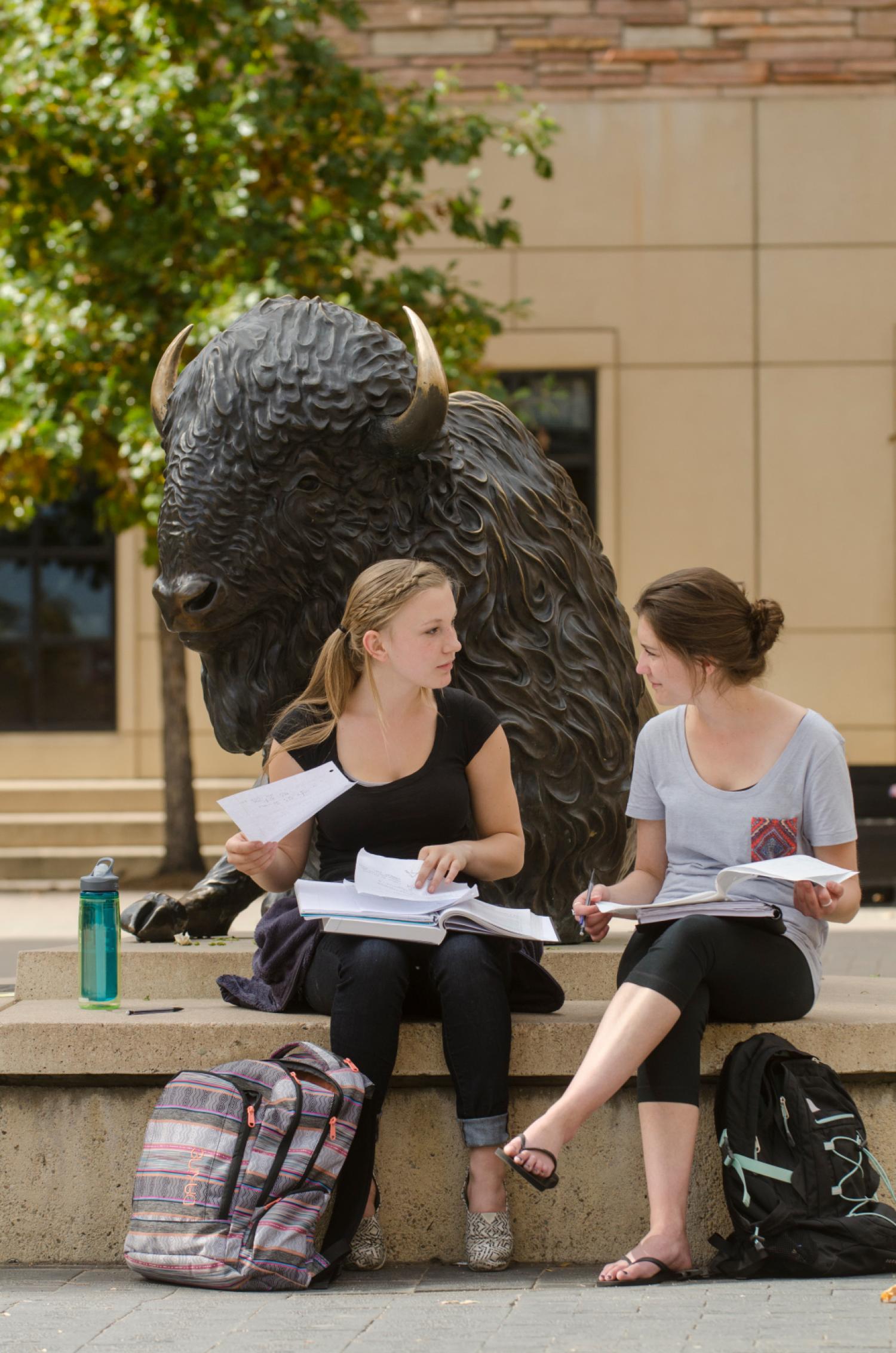 CU Boulder Students Studying by the Ralphie Statue