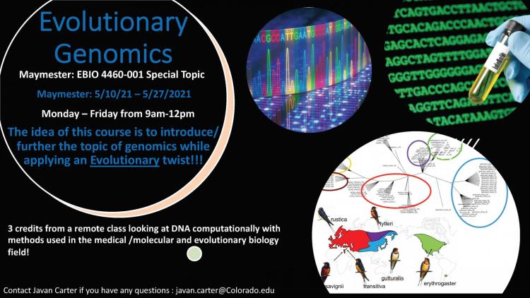Sign up for Maymester EBIO 4460 Evolutionary Genomics