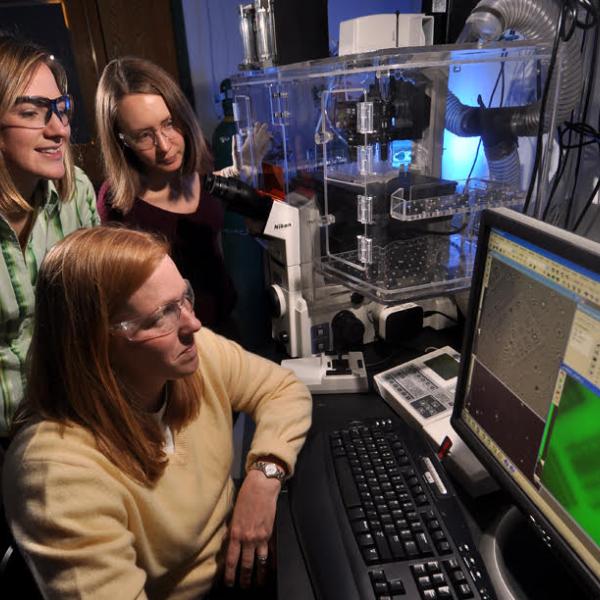Students observing data in lab