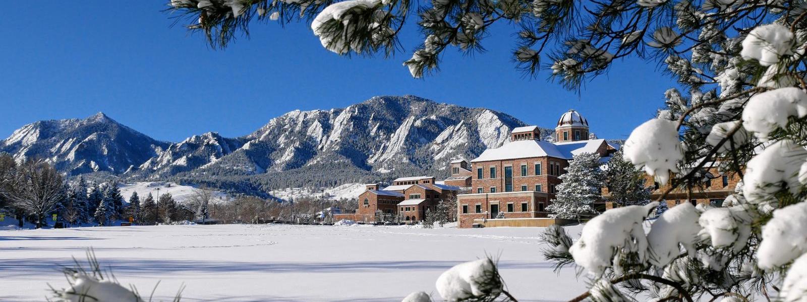 Campus in winter