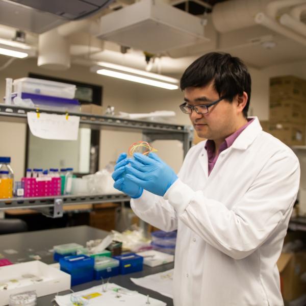 Associate Professor Xiaoyun Ding