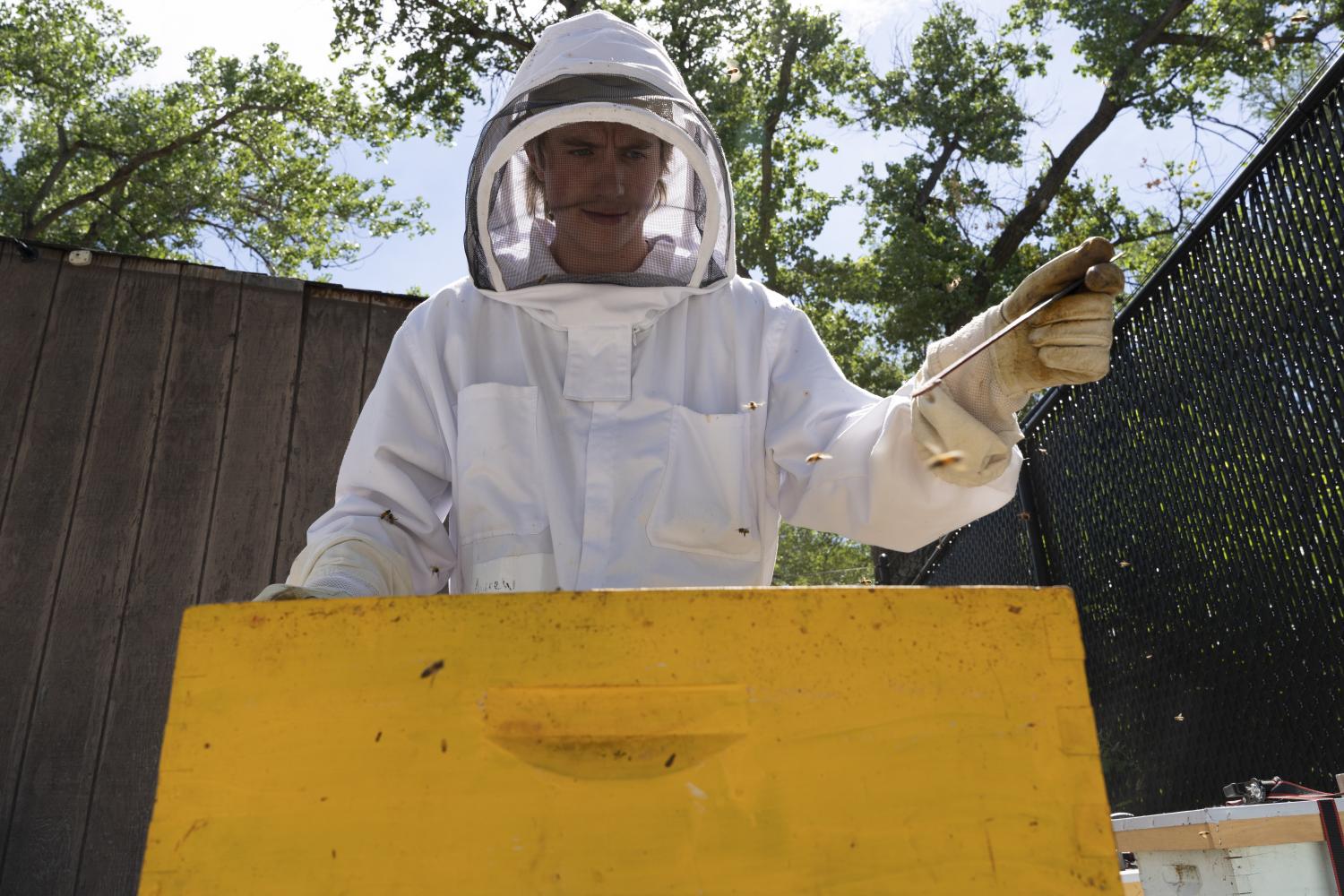 Andrew Swanson with Honeybees