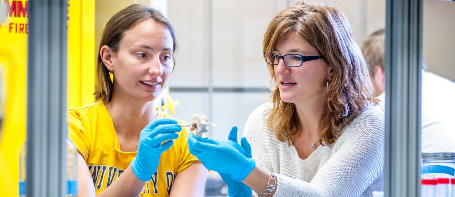 Biomedical Engineering Research
