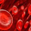Red Blood Cells