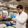 Associate Professor Xiaoyun Ding