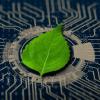 leaf on a circuit board